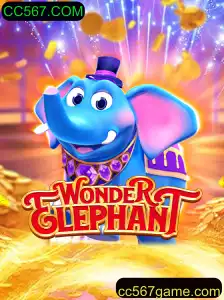 Descubra o Fascinante Mundo de WonderElephant